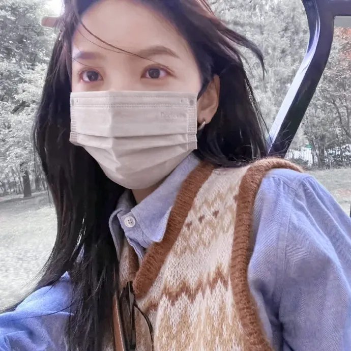 女王鲨